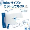 [医食同源ドットコム] iSDG まな板シート 抗菌 使い捨てまな板シート 24 ×36cm ×11枚入り 銀イオン配合 ミシン目入り
