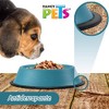 Fancy Pets Plato de Colores Surtidos para Perro con 32