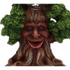Nemesis Now Elder Ember Tree Spirit Green Man Backflow Incense