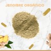BULK SUPERFOODS Jengibre Orgánico 100 Natural Suplemento Alimenticio