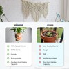 WINSOME All-Purpose Natural Braided Cotton Rope (20M/66ft) 4MM with Synthetic