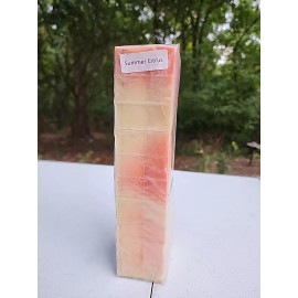BAILEY ST. SOAP CO. Summer Citrus Handmade soap precut 10 bars