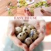 Quail Egg Scissors, VOSSOT Stainless Steel Egg Cutter, Small Egg