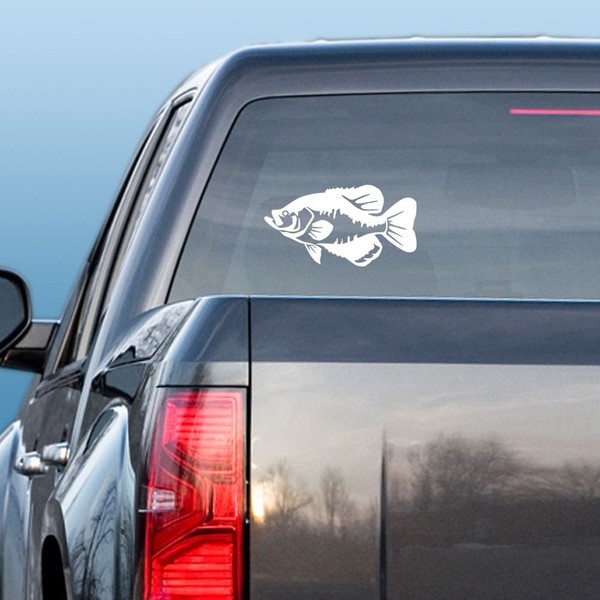 Express Yourself Products Black Crappie (White - Facing as Shown - Small) Decal Sticker - Freshwater Fish Collection
