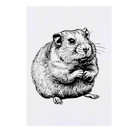 Azeeda 'Hamster' Temporäres Tattoo - Hautfreundlicher & Ungiftiger Abziehbild · Wasserfest (TO00070509)
