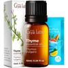 Gya Labs Thyme Essential Oil - 0.34 Fl Oz -