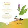 Phytopet Turmeric Root Extract | 100ml | Natural Anti-Inflammatory &