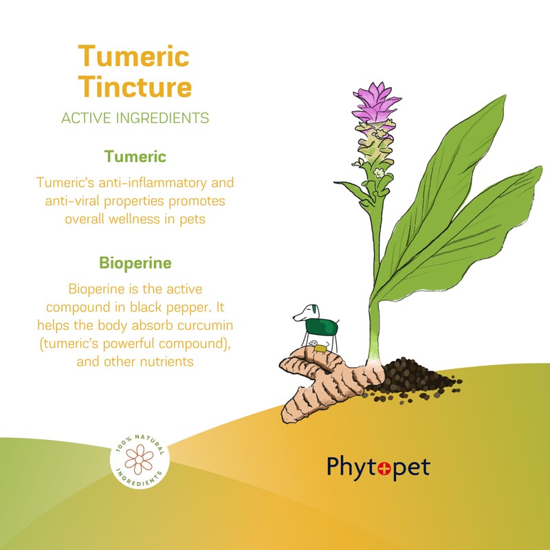 Phytopet Turmeric Root Extract | 100ml | Natural Anti-Inflammatory &