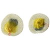 Coghlan´s 139 Device for lighting, Mantles, Double Tie, Package of