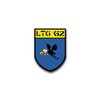 Sticker LTG 62 Air Transport Squadron Air Force Aviator 5