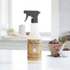 MRS. MEYER'S CLEAN DAY All-Purpose Cleaner Spray, Acorn Spice, 16