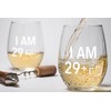 1993 30th Birthday Gifts Wine Glass Men Women | Birthday