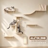 ANWA 6-in-1 Cat Wall Shelves Set, Wooden Cat Wall Climber