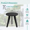 Homenjoy Homenjoy HDPE Outdoor Side Table, Small Round Side Table