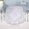 175 Count Silver Dinnerware Set for 25 Guests, Disposable Square