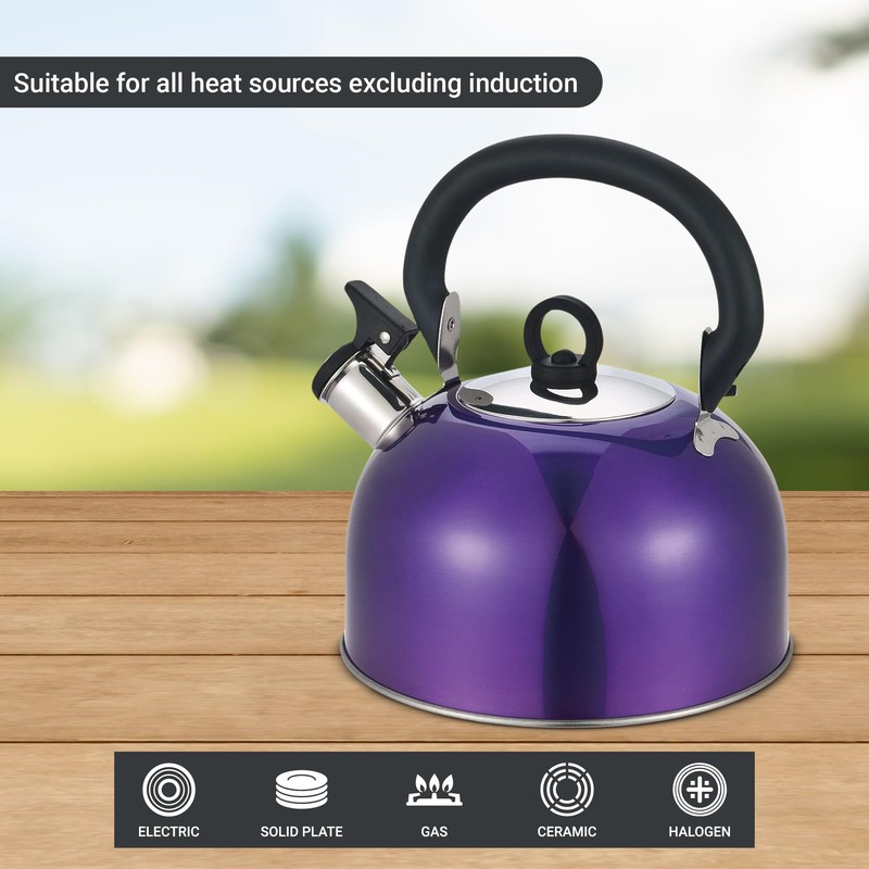 Buckingham Stainless Steel Whistling Kettle Metallic Purple with Cool Touch