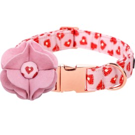 Lionet Paws Valentine's Day Dog Collar with Felt Flower, Dog Flower Collar with Metal Buckle for Dogs, Adjustable Comfortable Dog Collar Girl Gift, XL, Neck 16-26 in