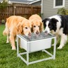 3 Gallons Elevated Dog Water Bowl - 11.5'' H Sturdy