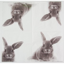 Paper + Design Servietten Easter I Hear Everything '21816