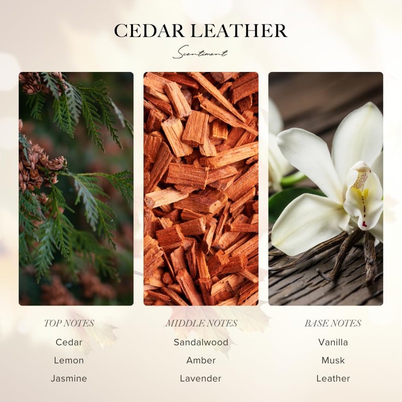Cedar Leather Fall Collection Diffuser Oils | Aromatherapy Home Fragrance