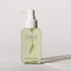 STEAMBASE Tea Tree Scalp Healing Tonic 100mL - STEAMBASE Tea