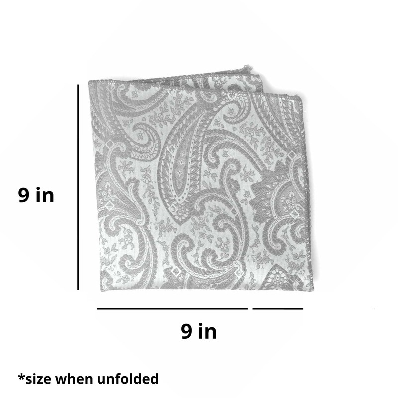 tiemart Pattern Pocket Square (Mercury Silver Clara Paisley)