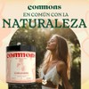 Hongos Adaptógenos Hongo Baya Schisandra 120 Cápsulas Suplemento Natural Más
