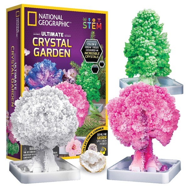 NATIONAL GEOGRAPHIC Arts and Craft Kits for Kids - Crystal Growing Kit - Grow a Crystal Garden in Just 6 Hours, Educational Craft includes Art Project, Geode, and STEM Learning Guide.