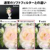 Kenko レンズフィルター ソフトン・スペック(A) 77mm ソフト描写用 377284