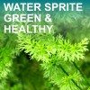 MT AQUATICS BUY 2 GET 1 FREE WATER SPRITE (Lace