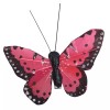 Banberry Designs Clip On Butterflies - Butterfly Clips with Feather