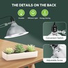 Healsmart 8.5" Clamp Light Socket, 150-Watt Maximum with 6 Feet