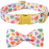 ARING PET Valentine's Day Dog Collar-Cute Heart Dog Collar with