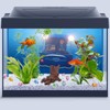 200Pcs Luminous Mini Resin Turtles Desk Micro Small Animals with