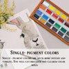 Pinturale Watercolour Paints | Premium Pigmentation Watercolours | 24 Large