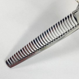 DEEDS GUZ630CT Professional Japanese Shears Maker, 2-tier Senning, 6.0 inch, 25% Skinning, Hairdresser, Hair Cut, Professional Use