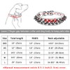 DOGGYZSTYLE Spiked Studded Rivet Leather Dog Collar for Cats Puppy