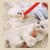 Cat Toy, Chewing Toy, Toothpaste, Bruxing Stick, Natural Safe, Chewing