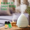 MitFlor MitFlor Winter & Christmas Fragrance Oils Set, Creative Christmas