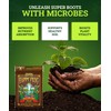 FoxFarm Happy Frog Potting Soil, 12qt – for Indoor/Outdoor Container