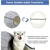 COLMO Cute Shell Cat Bed Cave Tunnel Toy Ball Multifunction