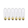 BULBMASTER 25 Watts T10 Tubular Clear Incandescent Light Bulb, Antique