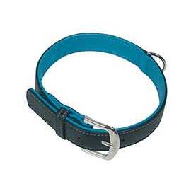 Nobby Pacific Collar, 27 cm, Turquoise