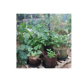 Soft POTS (10 Gallon) Best Fabric Aeration Garden POTS from Maui Mike's. Thicker Fabric and Sewn Handles for Easy Moving. Grow Bigger and Faster Tomatoes,Veggies and Herbs in Soft POTS.