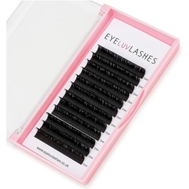 Easy Fan Lashes DD Curl 0.05 x 13mm Lash Tray easy fanning crazy fans russian volume blossom individual eyelash extensions silk Eyeluvlashes (DD Curl 0.05mm thickness, 13mm Length)