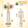 Air Plant Holder Wooden Jointed Mannequin - Adjustable Tabletop Air
