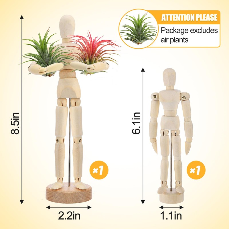 Air Plant Holder Wooden Jointed Mannequin - Adjustable Tabletop Air