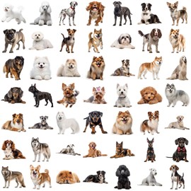 50 Cute Dog Stickers for Scrapbooking, Self-Adhesive Scrapbooking Stickers Supplies Journal Stuffers for Adult Card Making Letters DIY (Dog)