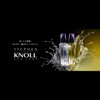 STEPHEN KNOLL Shine Color Care Oil, Hair Oil, Colorless, 3.4