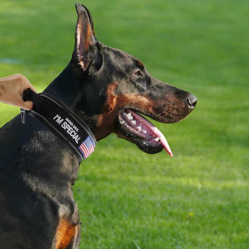 Comfluxe 2.5" Tactical Dog Collar for Medium Dogs, Adjustable Heavy